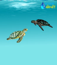 Load image into Gallery viewer, Turtle and Flamenco 2 x Pack Swedish Dishcloth's